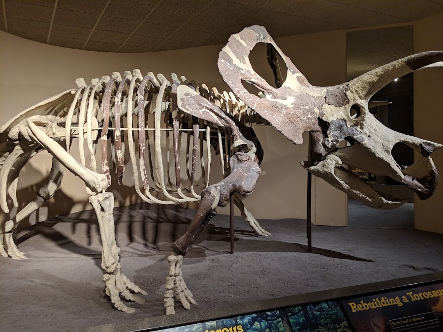 Milwaukee Public Museum