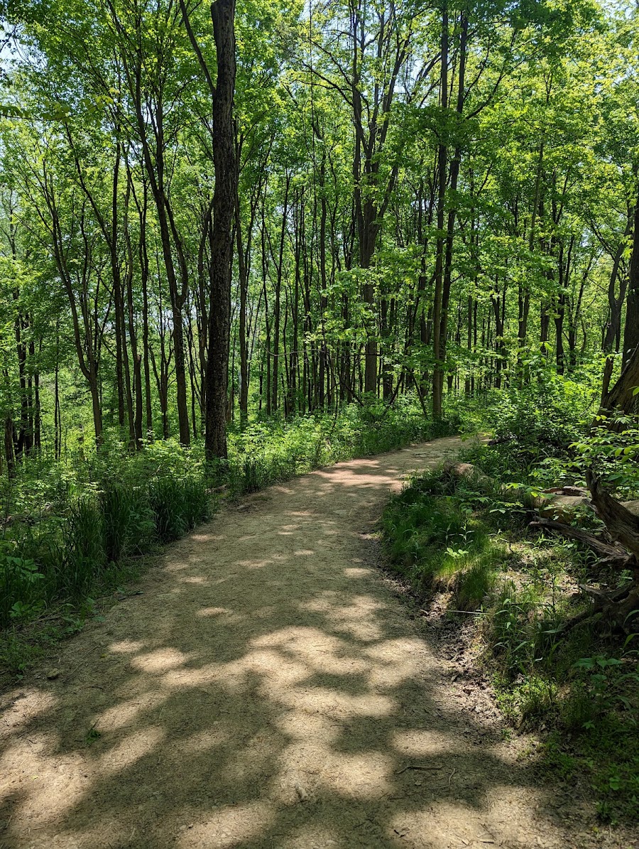Settlers Cabin Park