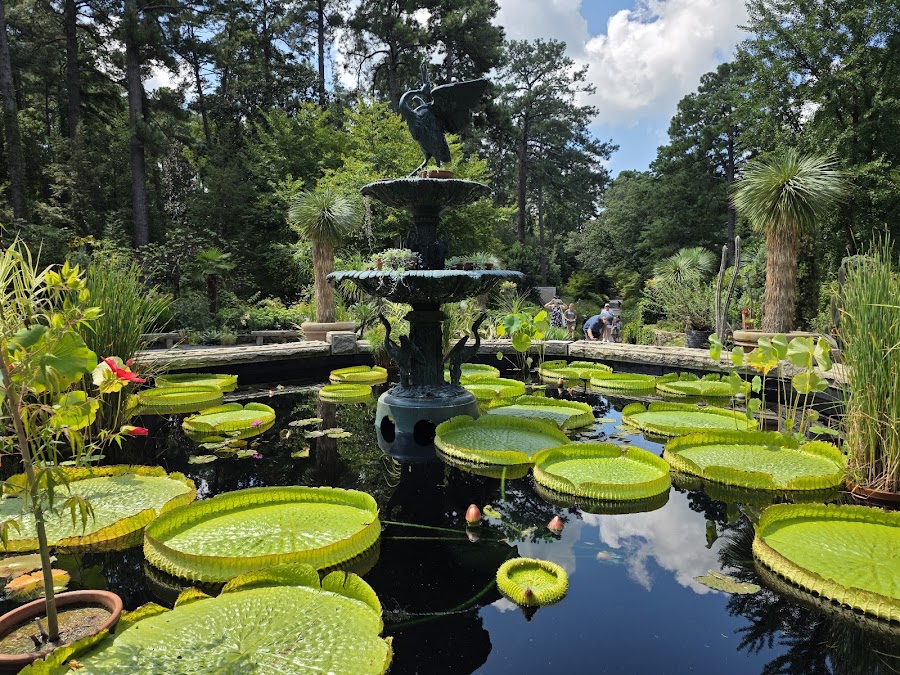 Sarah P. Duke Gardens