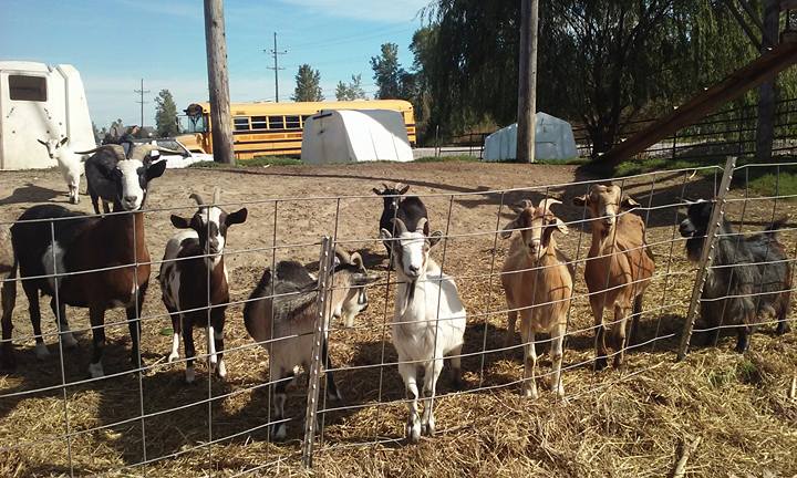 Bowlander Farm