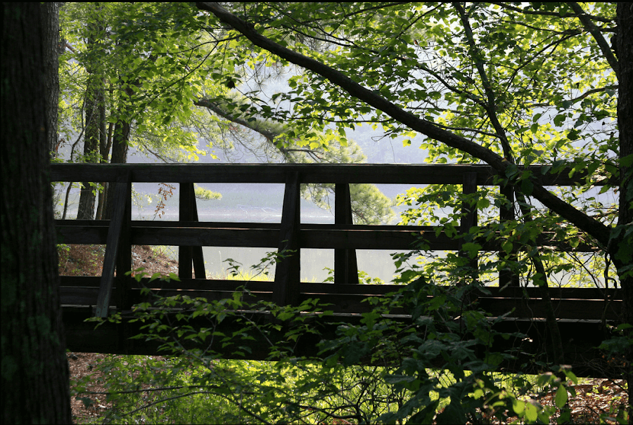 Bowie Nature Park