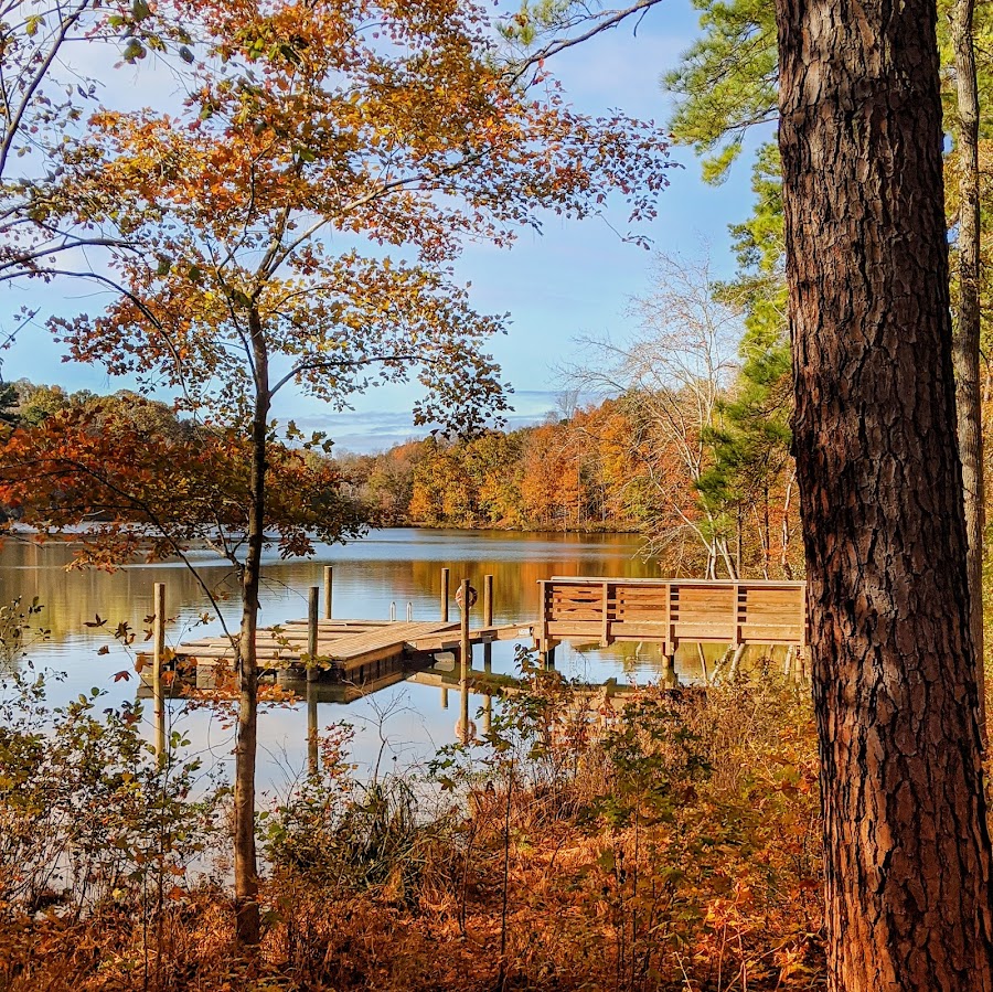 Anne Springs Close Greenway - Lake Haigler