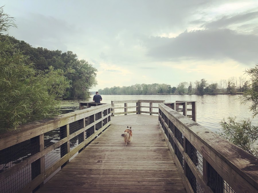 Connor Bayou
