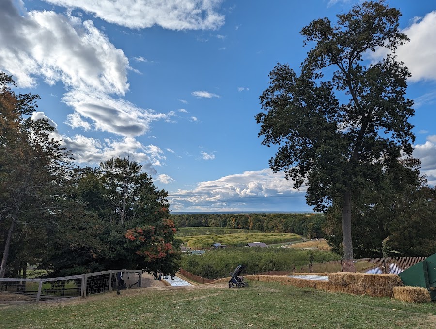 Mapleside Farms