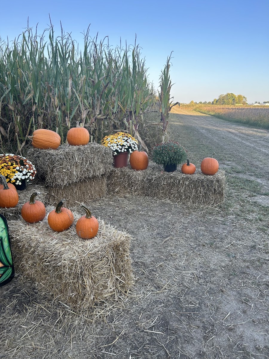 Landess Farm