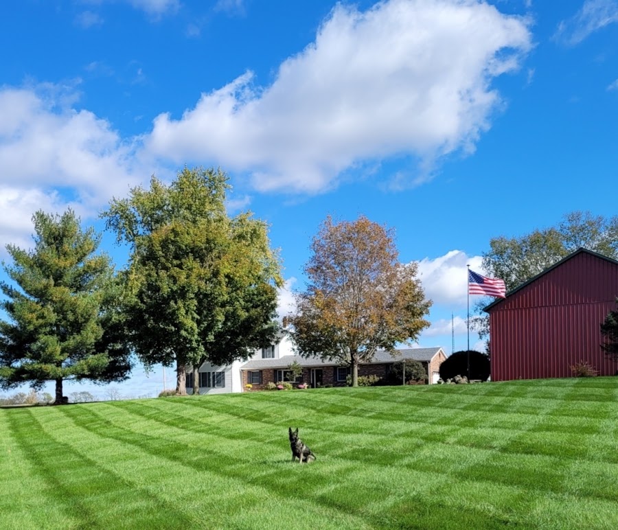 Red Barn Tree Farm