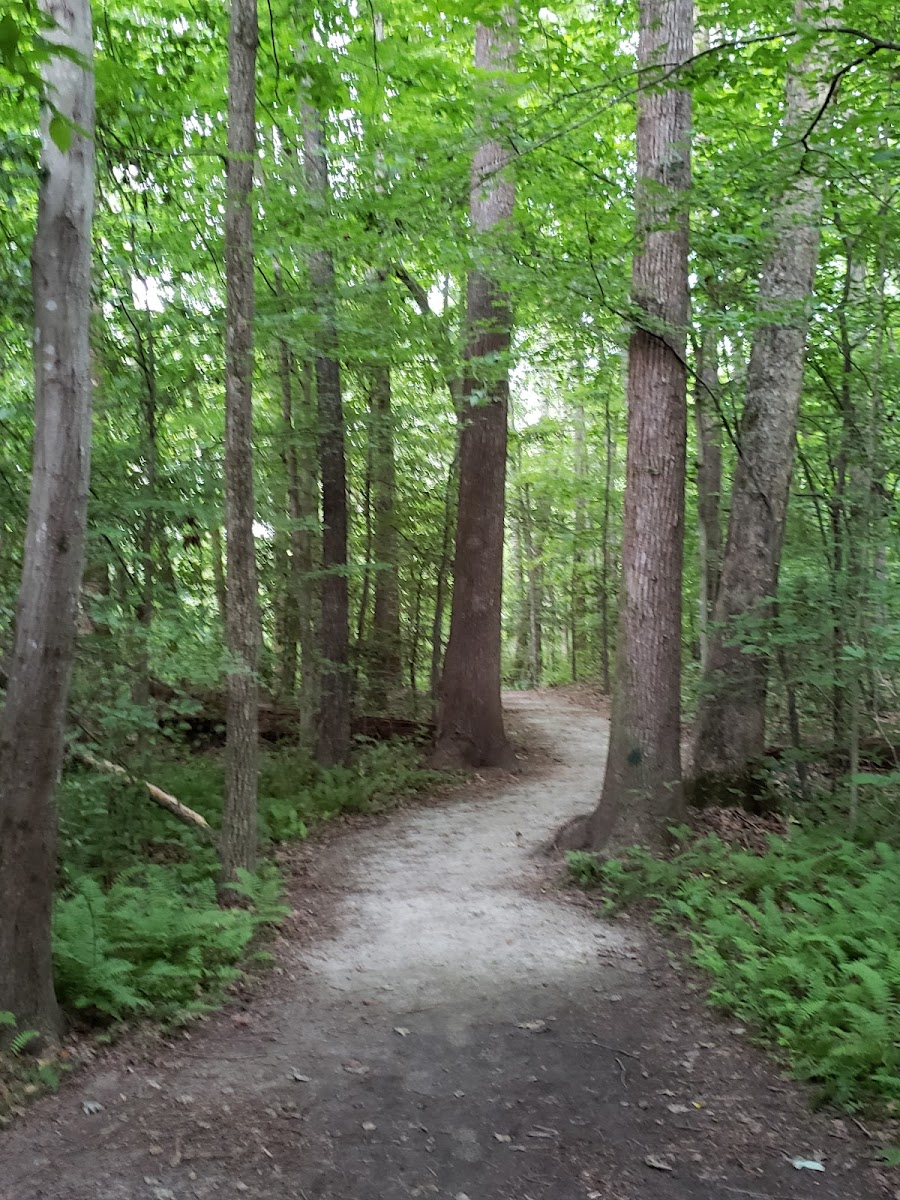 Rockwood Nature Center