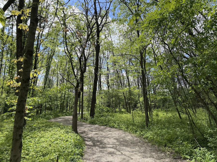 Ritchey Woods Nature Preserve