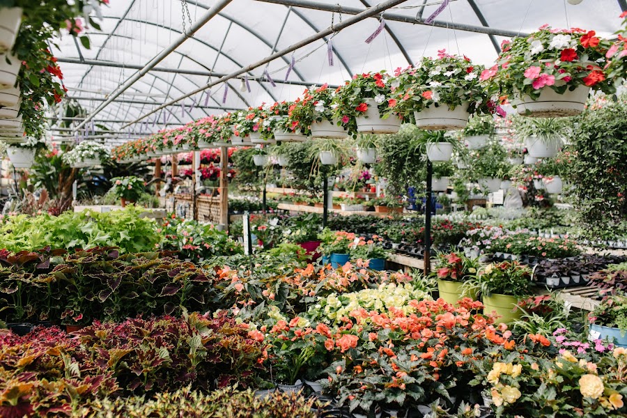 Hoen's Garden Center