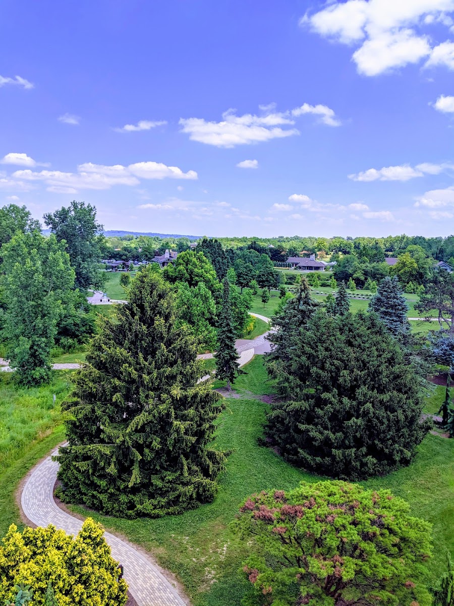Cox Arboretum MetroPark