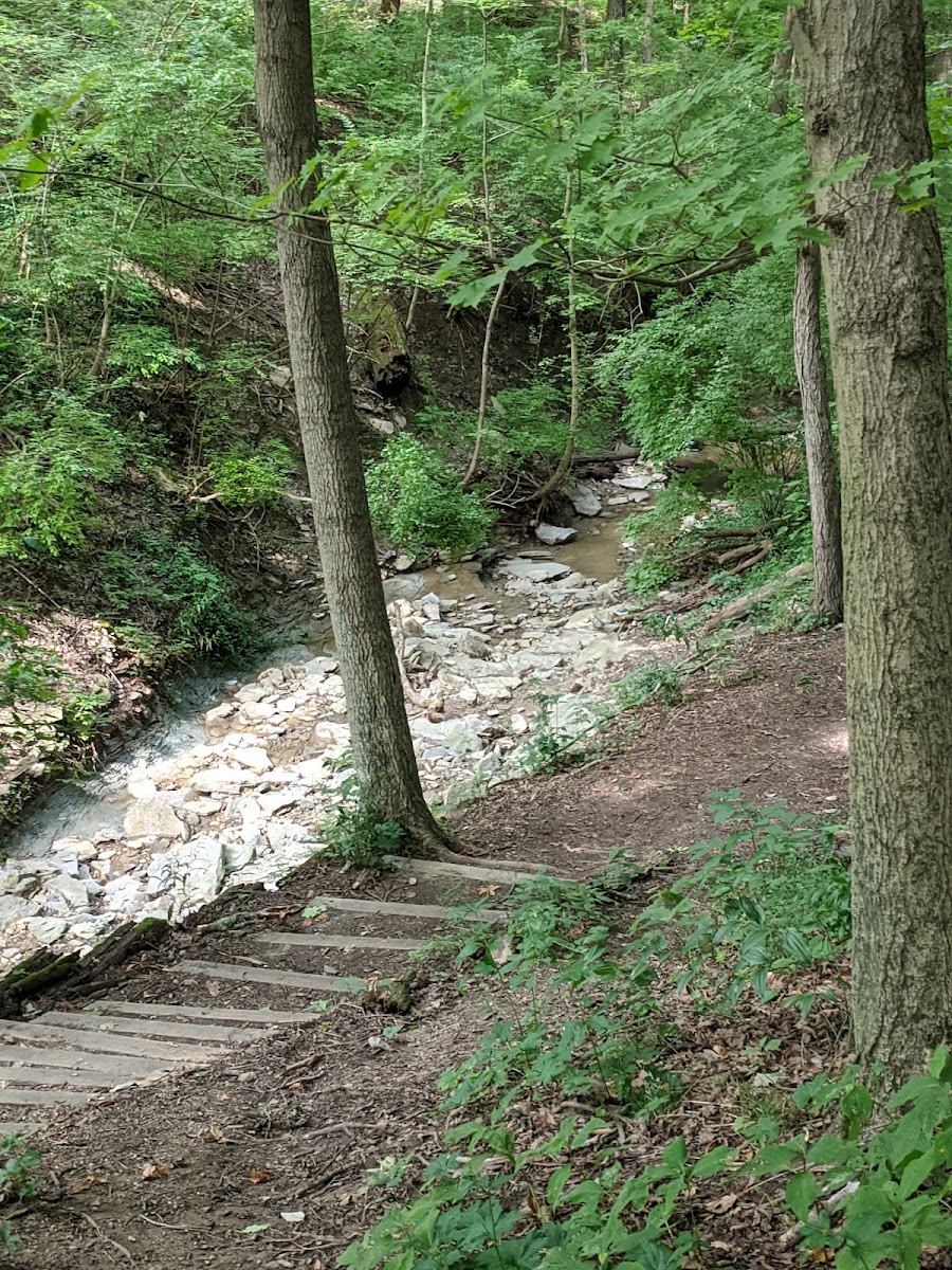 Caldwell Nature Center