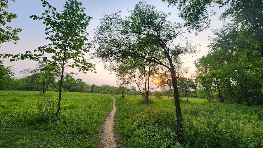 Oak Leaf Trail