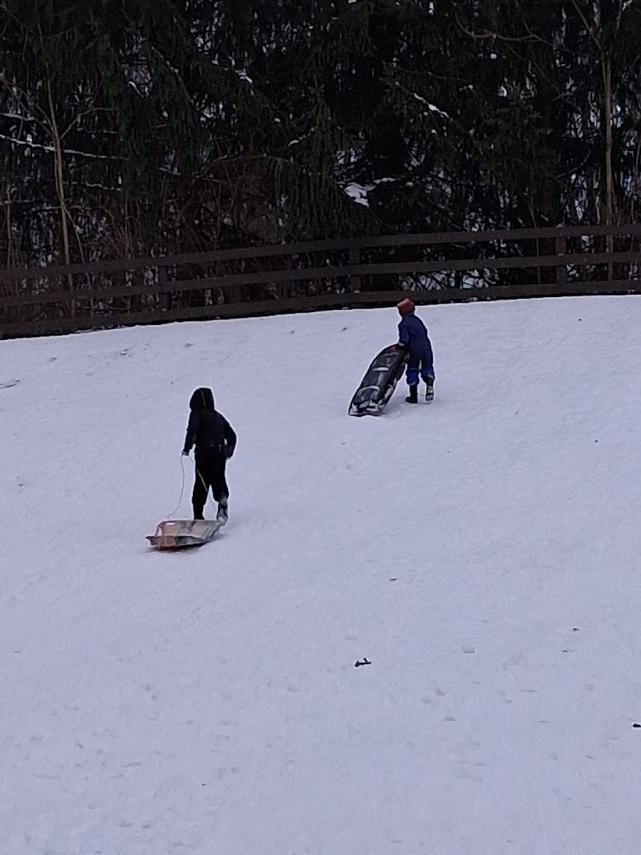 Barrett Sledding Area