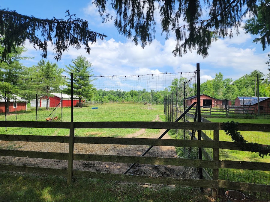 Rootstown Reindeer Farm