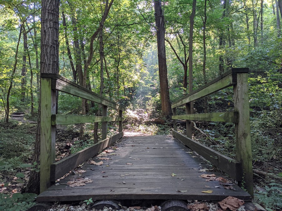 Parkville Nature Sanctuary