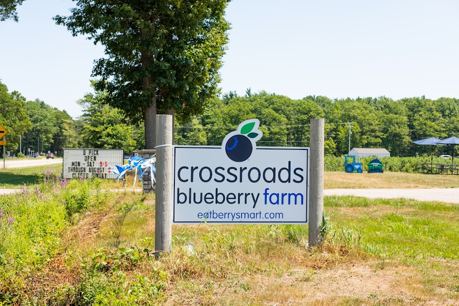 Crossroads Blueberry Farm