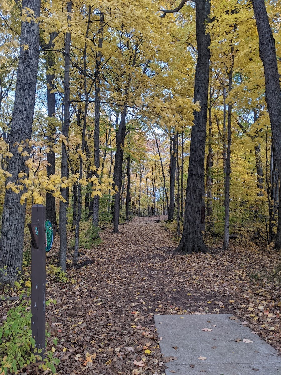 Brown Deer Disc Golf Course