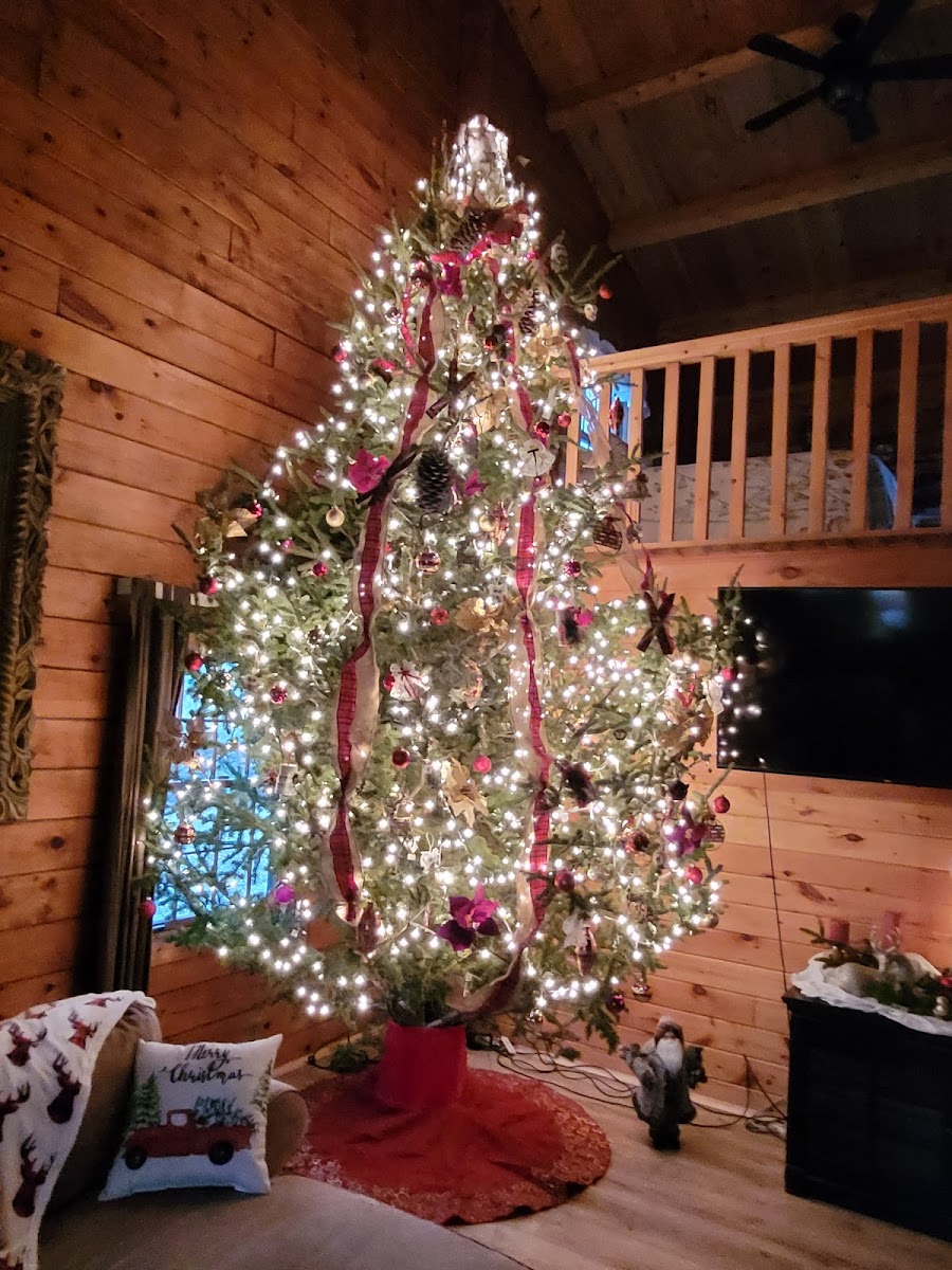 Clearview Family Tree Farm