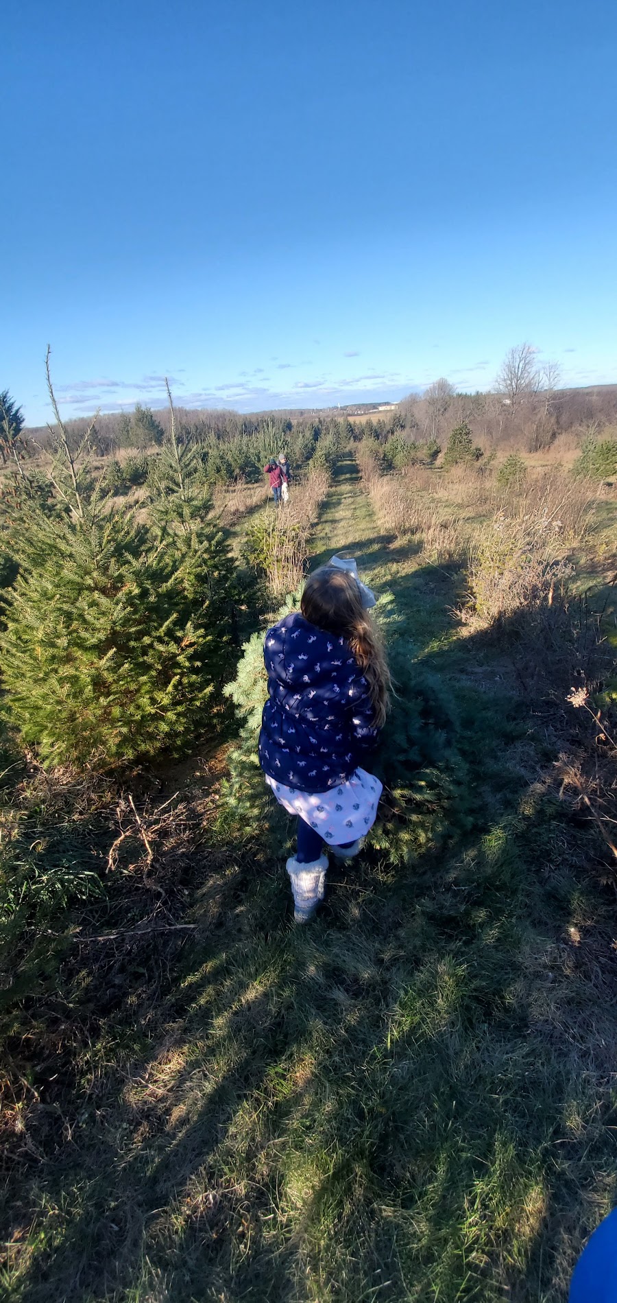 Rolling Hills Tree Farm
