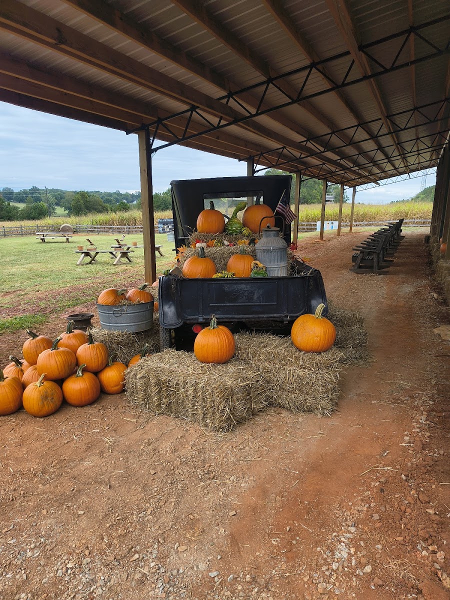 Huckleberry Trail Farm