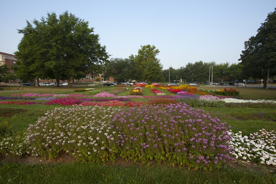 Chadwick Arboretum