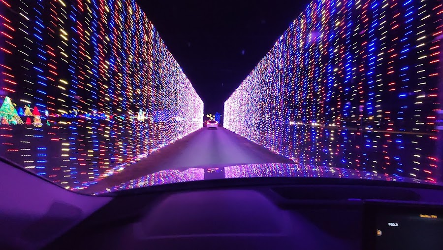 The Dancing Lights of Christmas