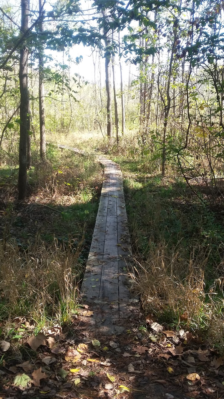 Scott Starling Nature Sanctuary