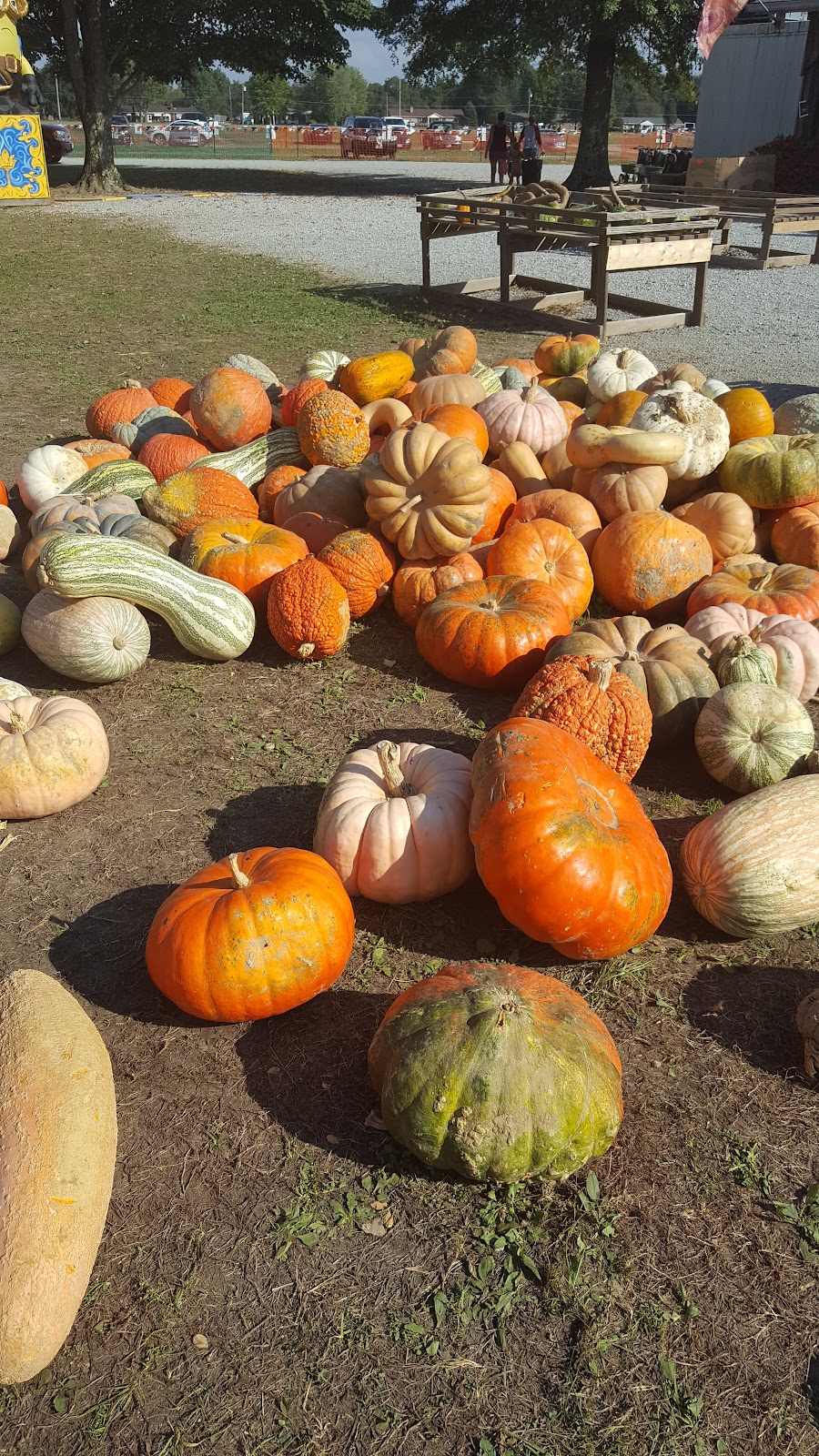 Shaw Farms