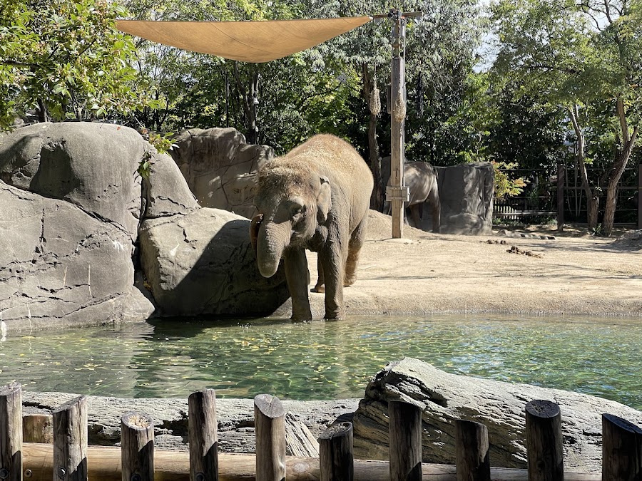 Cincinnati Zoo & Botanical Garden