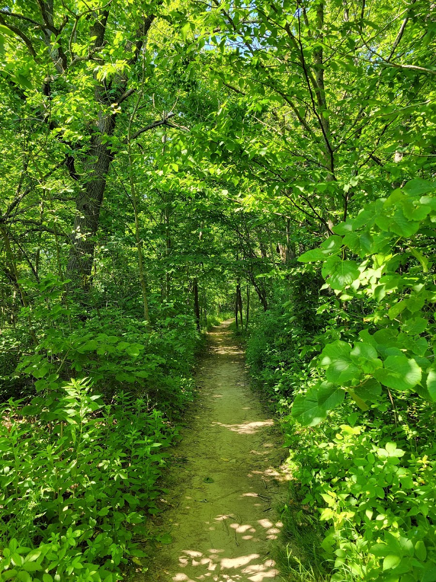 Warnimont Park
