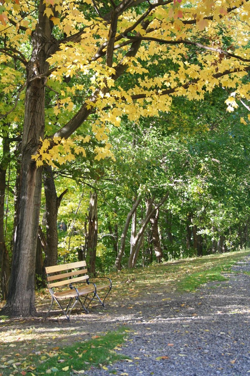 Pittsburgh Parks Conservancy