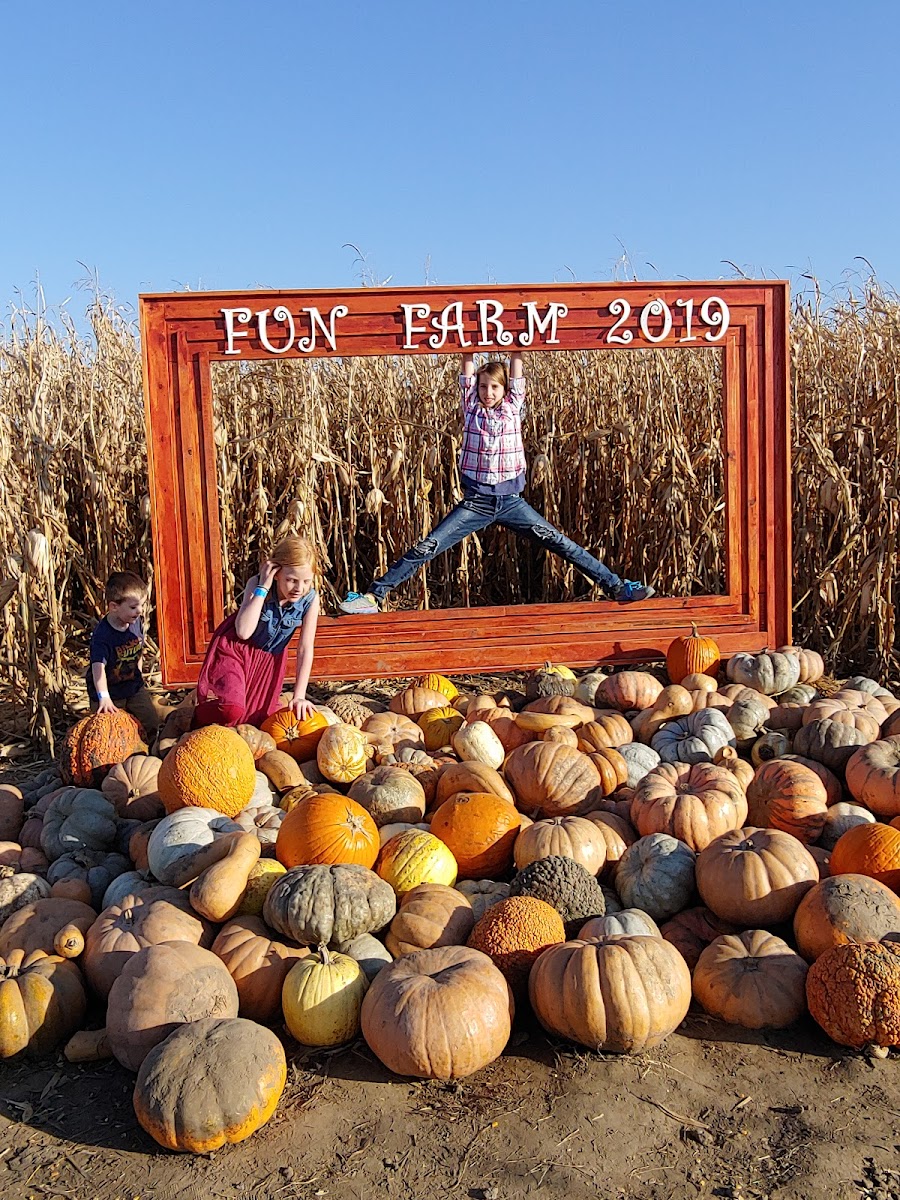 Fun Farm Pumpkin Patch