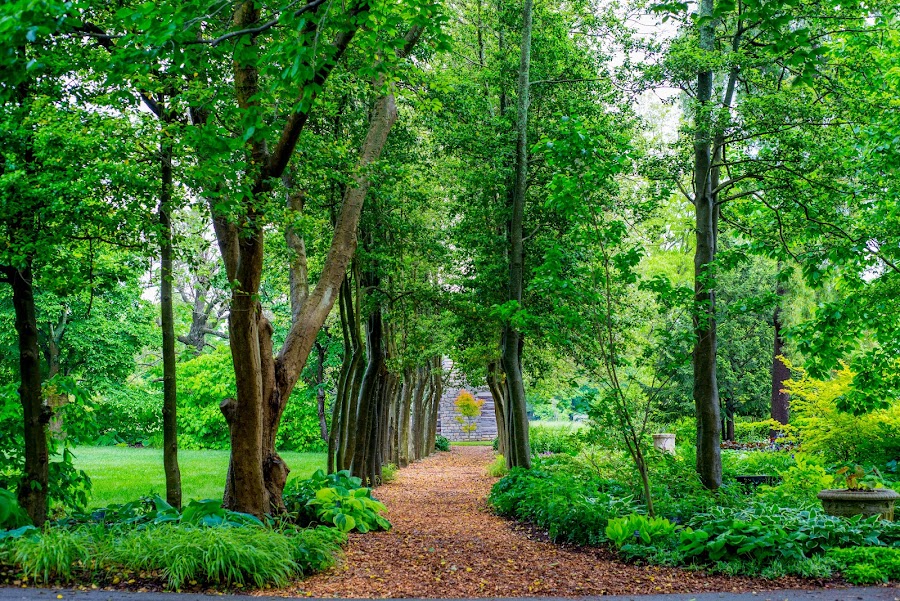 Yew Dell Botanical Gardens