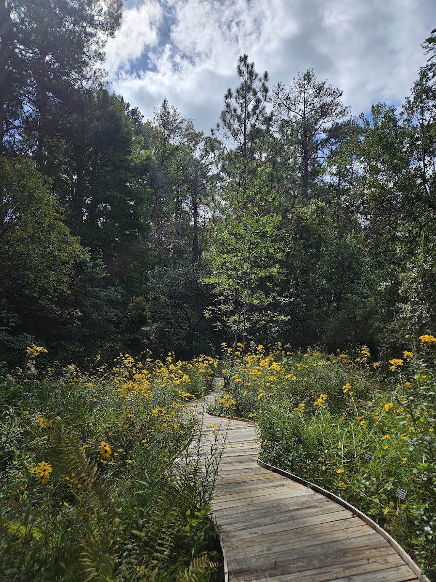North Carolina Botanical Garden