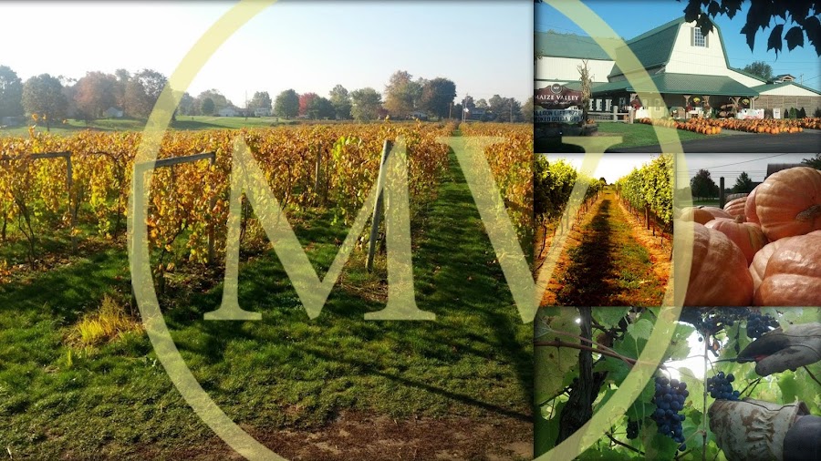Maize Valley Winery & Craft Brewery