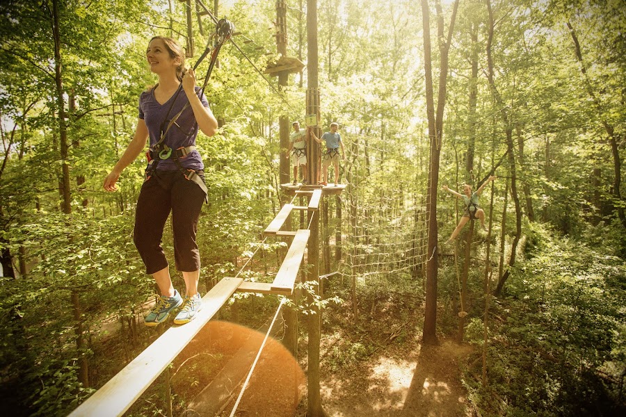 Go Ape Zipline and Adventure Park