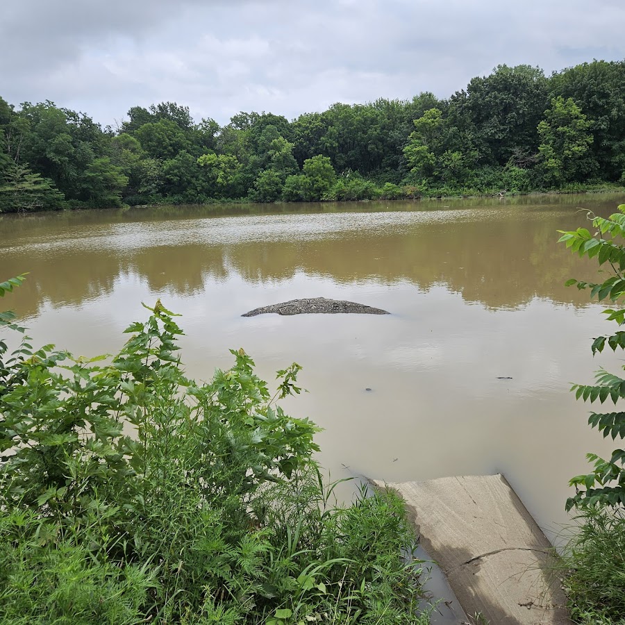 Dickinson Park Pond