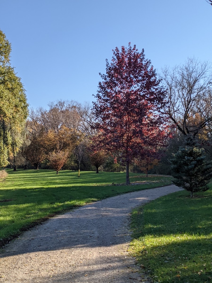 Paul Lange Arboretum