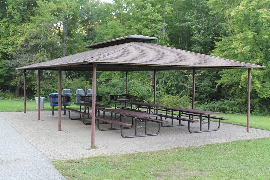 Albion Woods Picnic Area