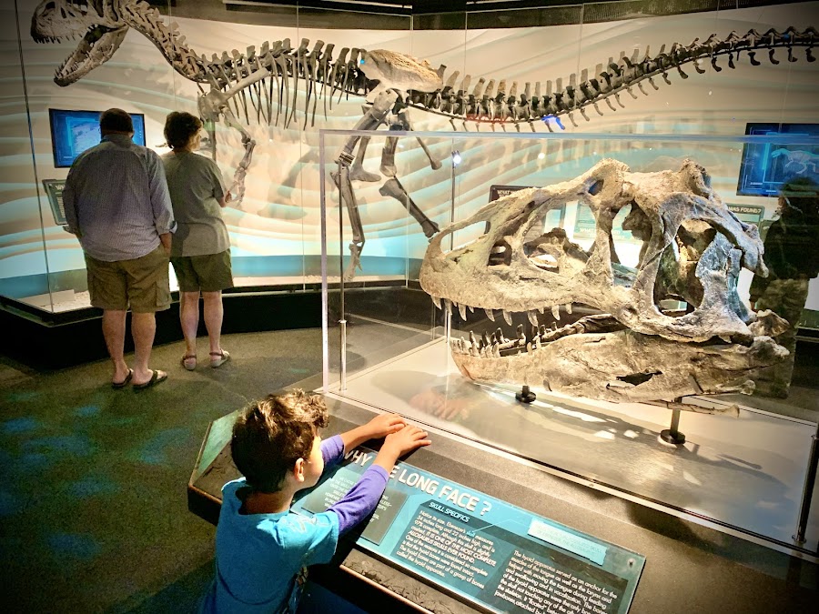 Creation Museum