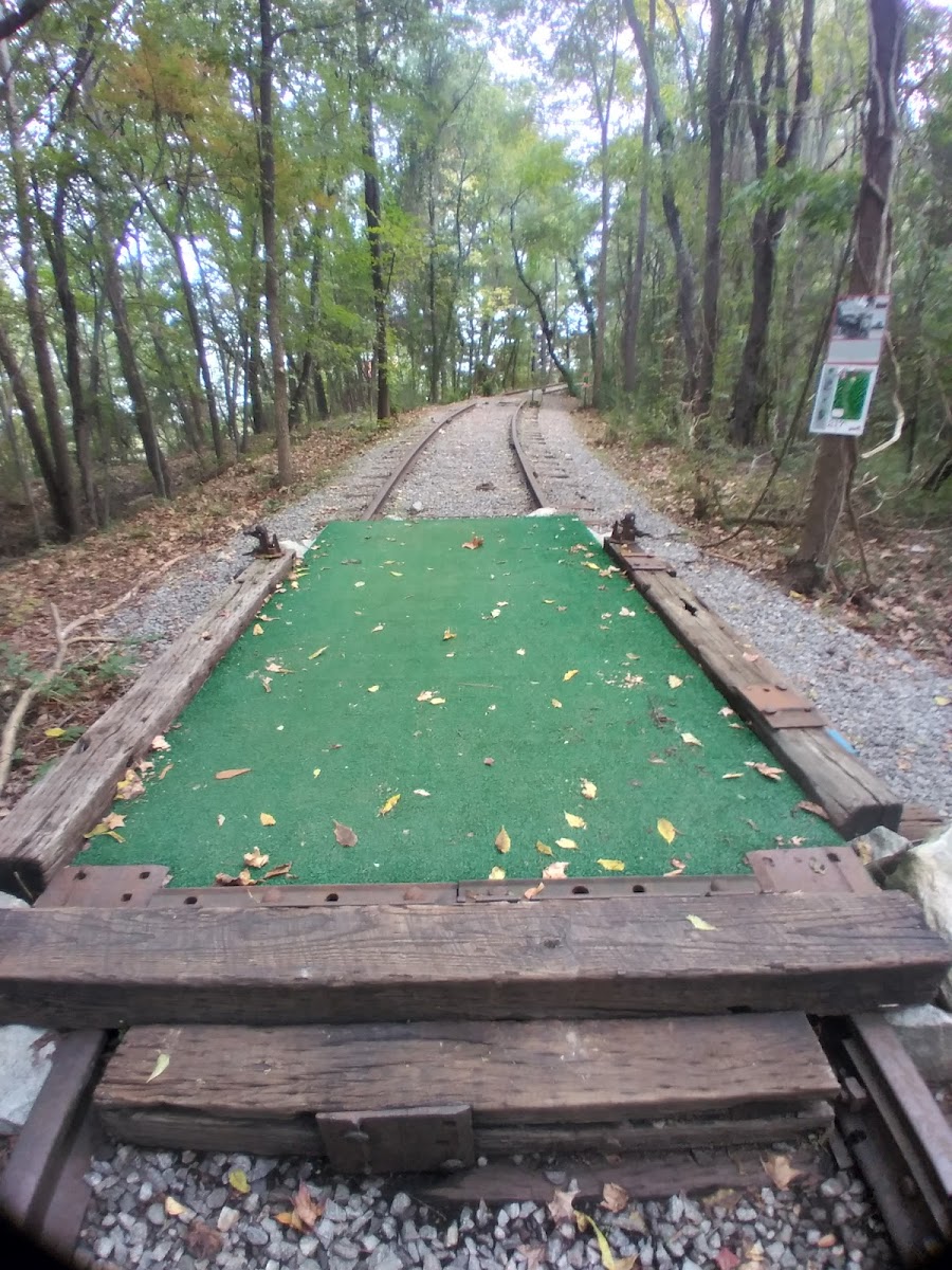True Timber Disc Golf Course
