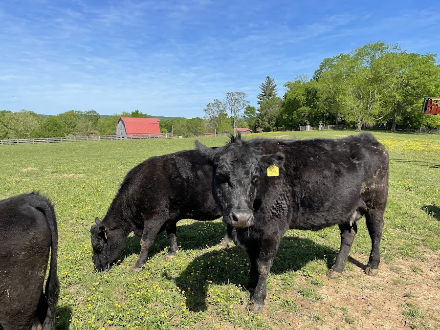 Gentry Farm