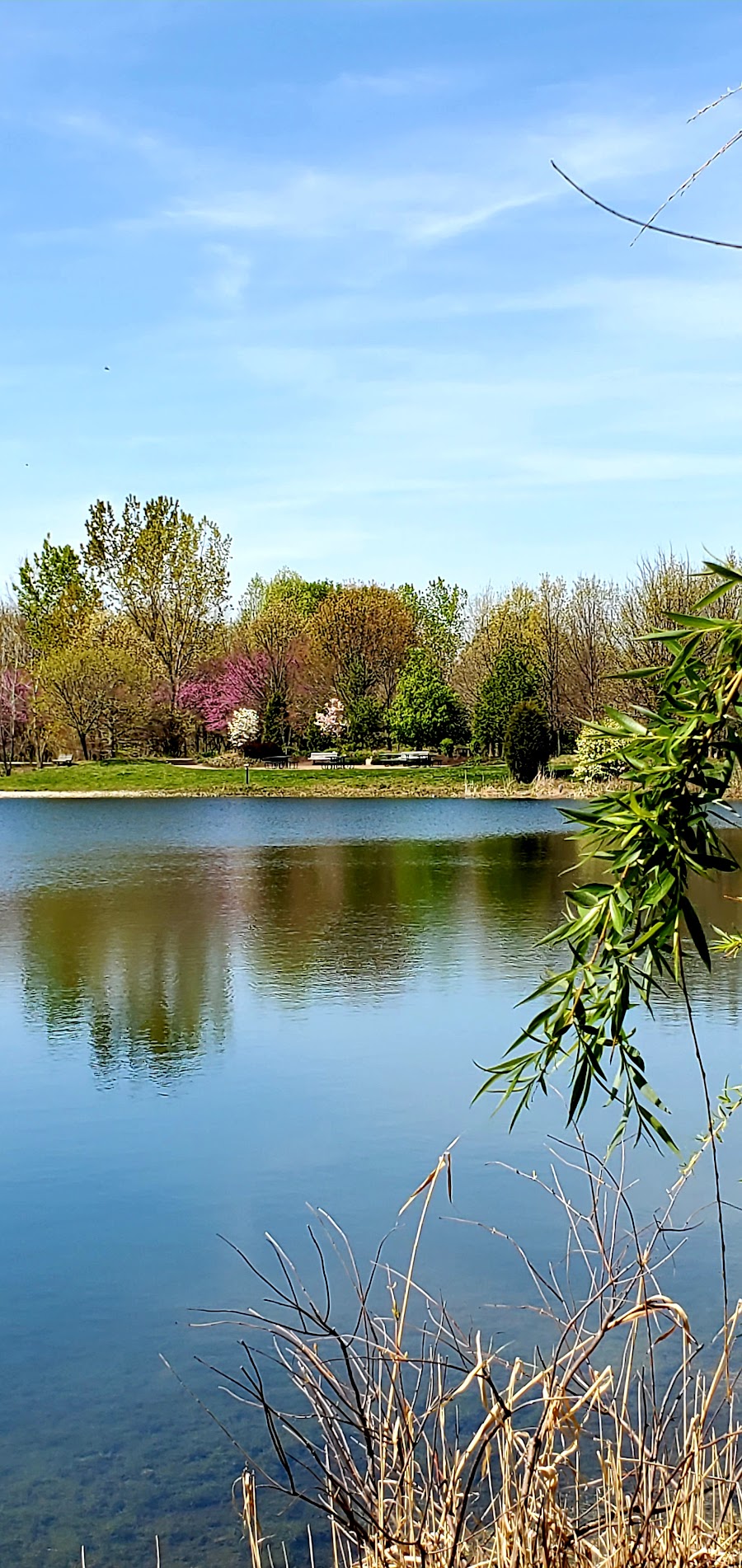 Chadwick Arboretum North