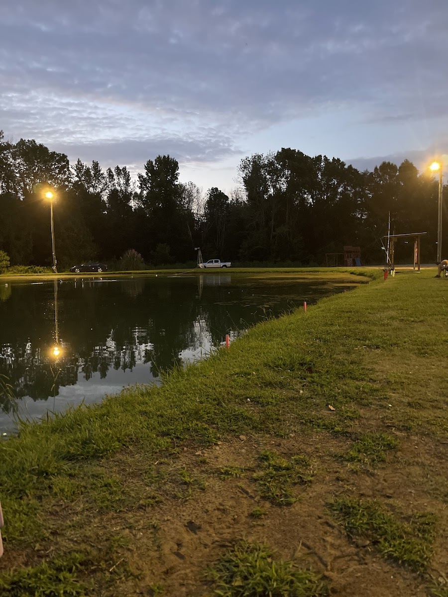 Ussery Catfish Pond