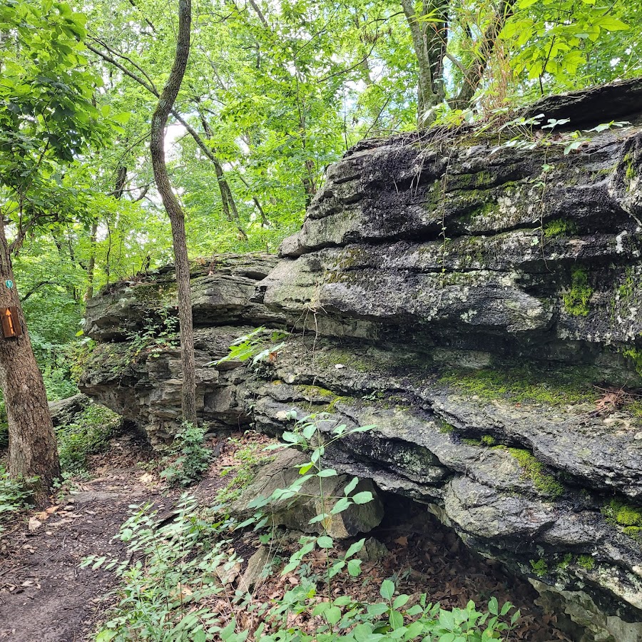 Lakeside Nature Center