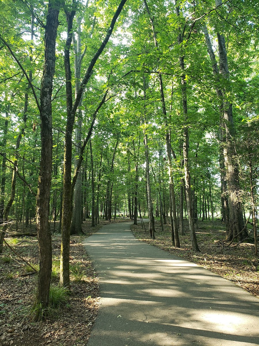 Bryant Grove Trailhead