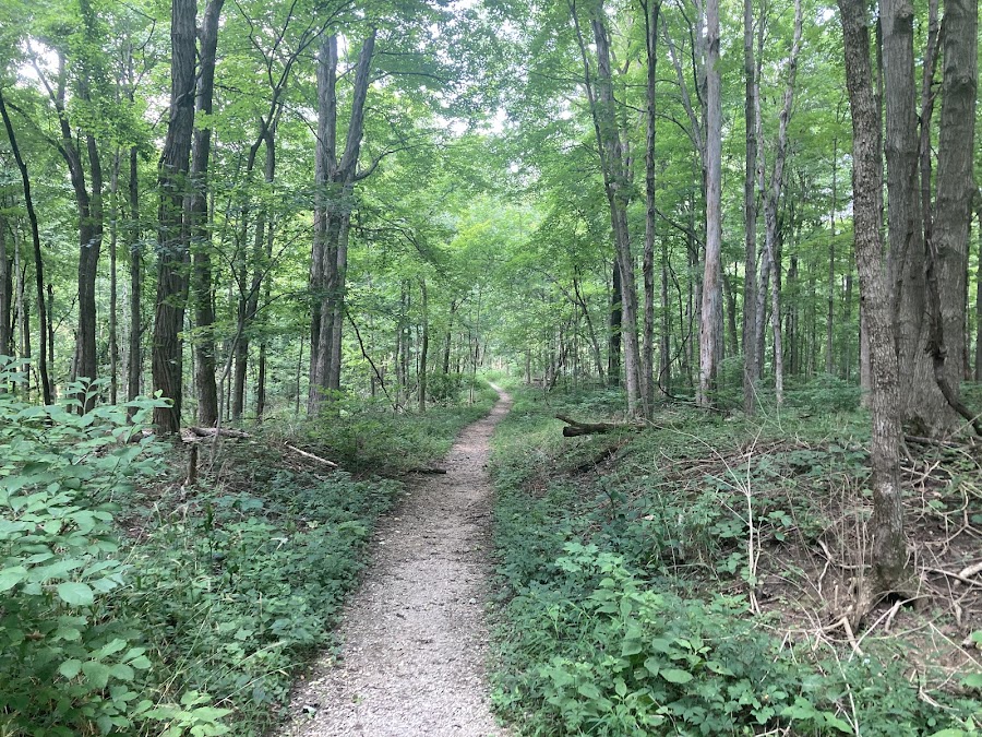 Fort Harrison State Park