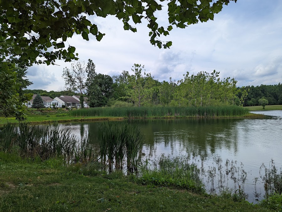 Blue Heron Lake