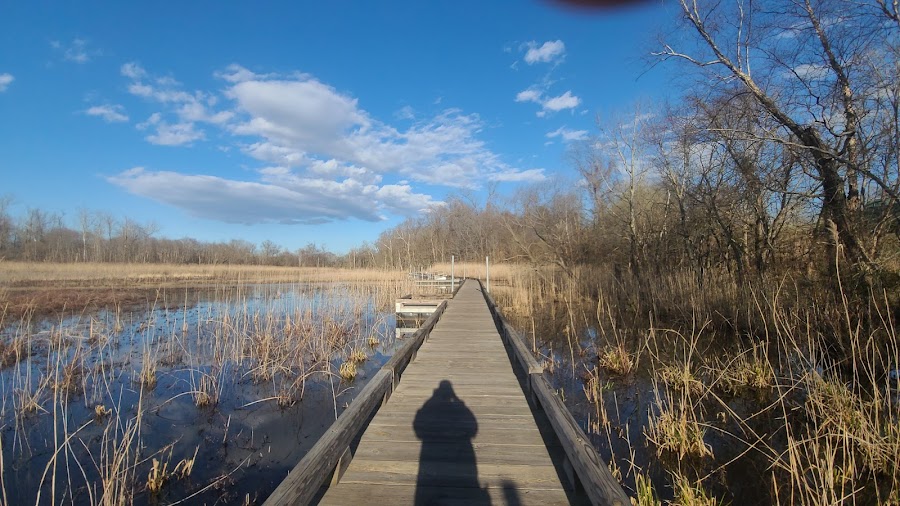 Dutch Gap Conservation Area