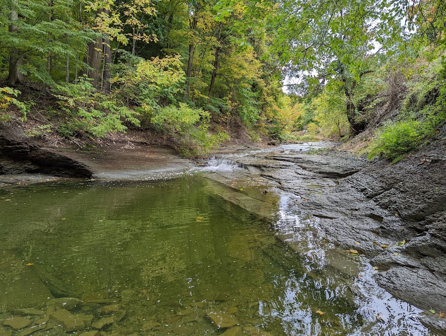 Euclid Creek Reservation